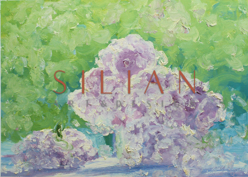 Idyllic Scenery XVII